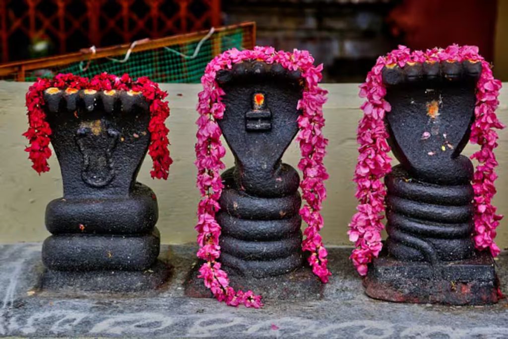 Nagula Chavithi Festival: Celebrating the Worship of Serpent Gods for Health and Prosperity